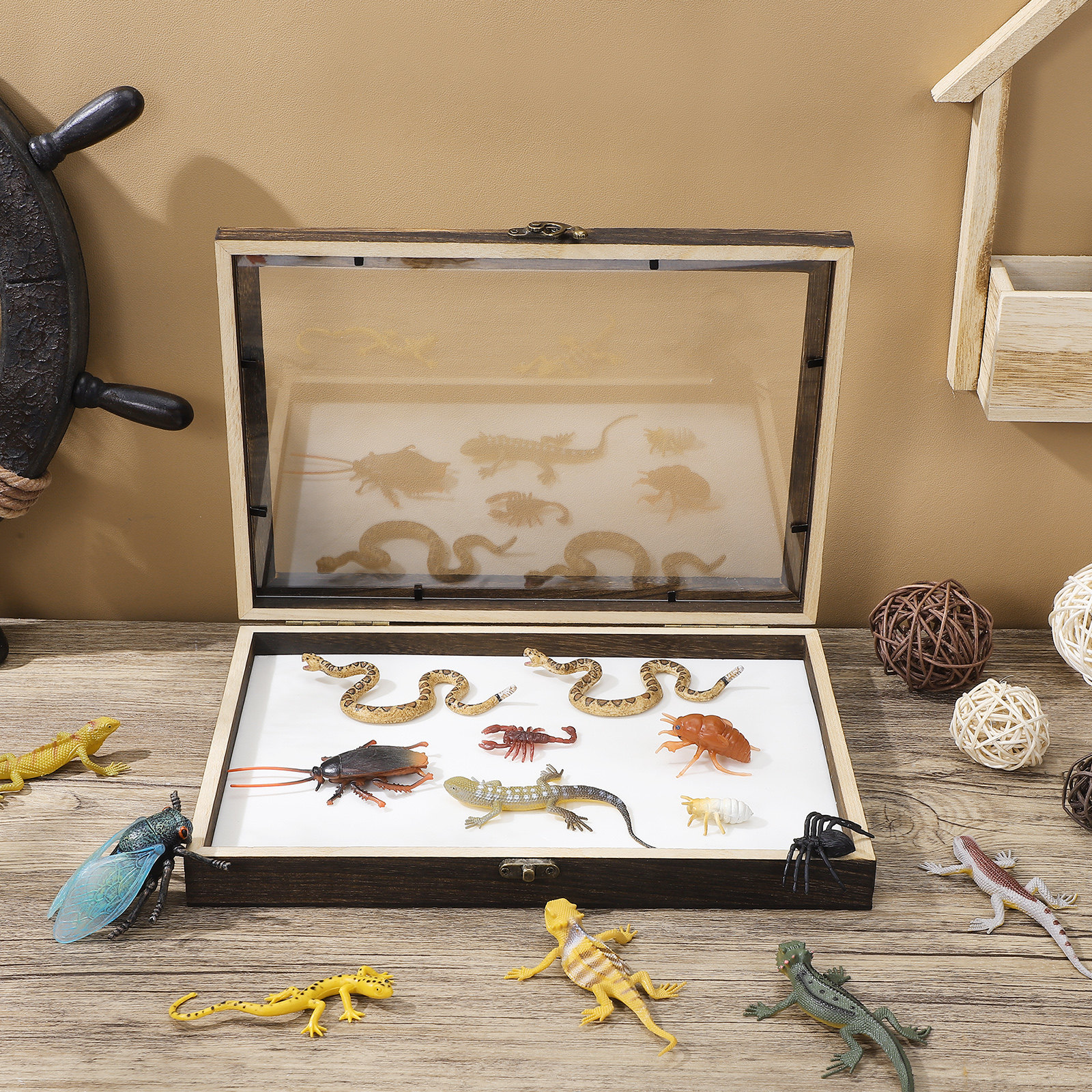 1Set Wood Specimen Storage Box - огляд і ціна Frame Display Wood
